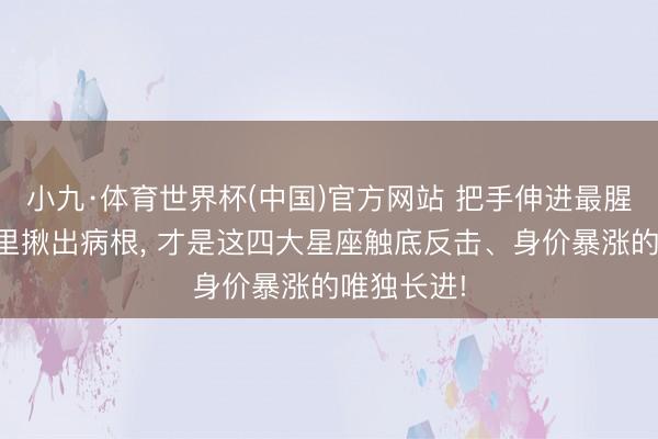 小九·体育世界杯(中国)官方网站 把手伸进最腥臭的泥潭里揪出病根, 才是这四大星座触底反击、身价暴涨的唯独长进!